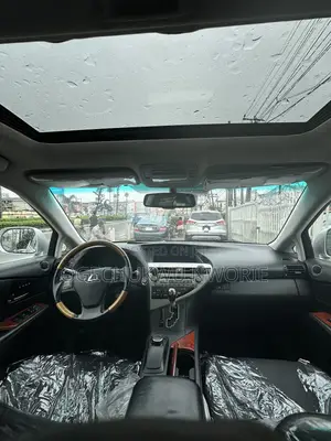 Lexus RX 350 2010 Silver
