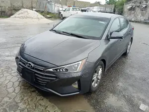 Hyundai Elantra ECO 2019 Gray