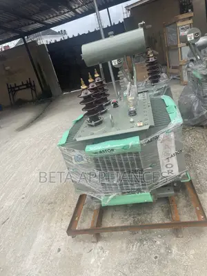 Astor 300 kVA Industrial Distribution Transformer