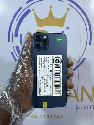 Apple iPhone 12 Pro 256 GB Blue