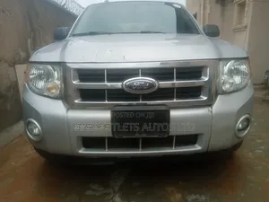 Ford Escape 2009 Gray
