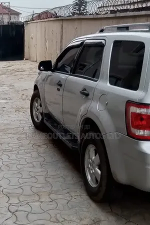 Ford Escape 2009 Gray