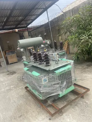 Astor 300 kVA BY11 Commercial Transformer