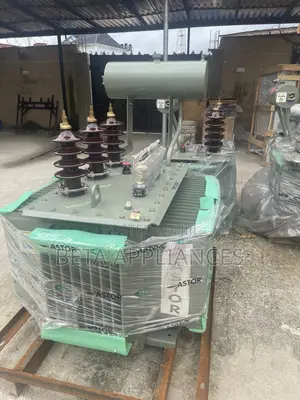 Astor 300 kVA BY11 Utility Transformer