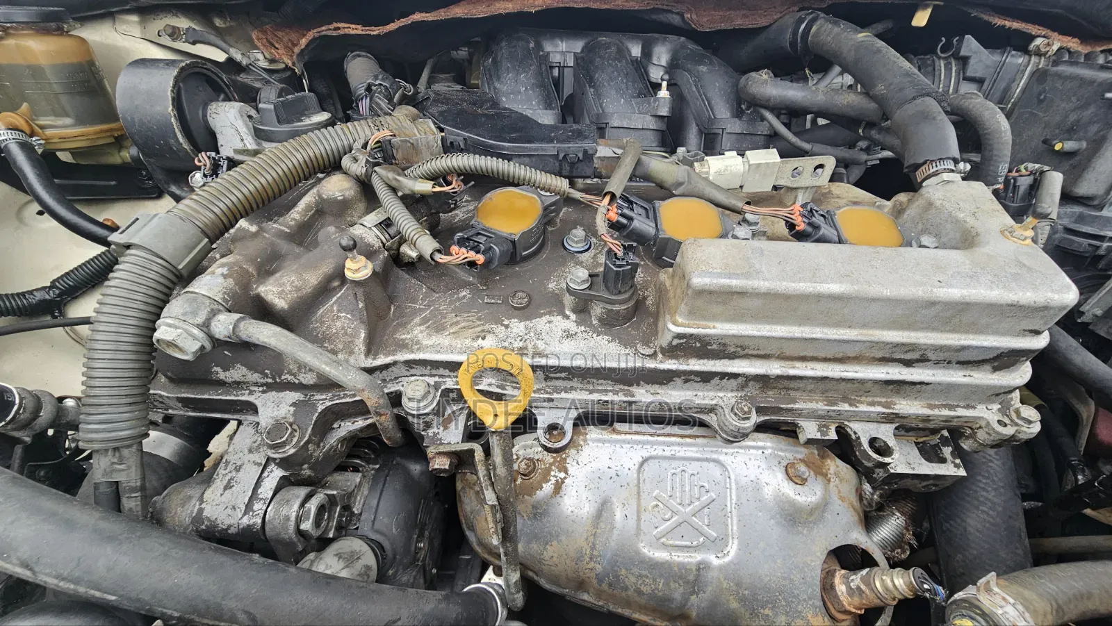Toyota Sienna 2007 Gold