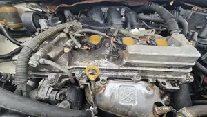 Toyota Sienna 2007 Gold