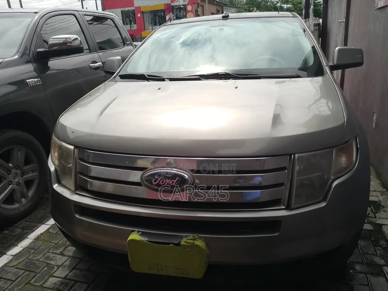 Ford Edge 2007 Gray
