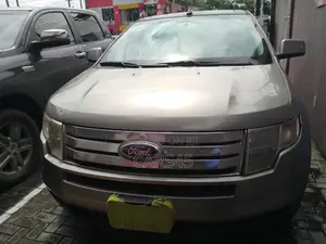 Ford Edge 2007 Gray