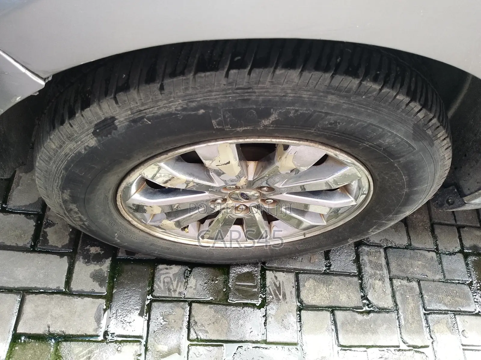 Ford Edge 2007 Gray