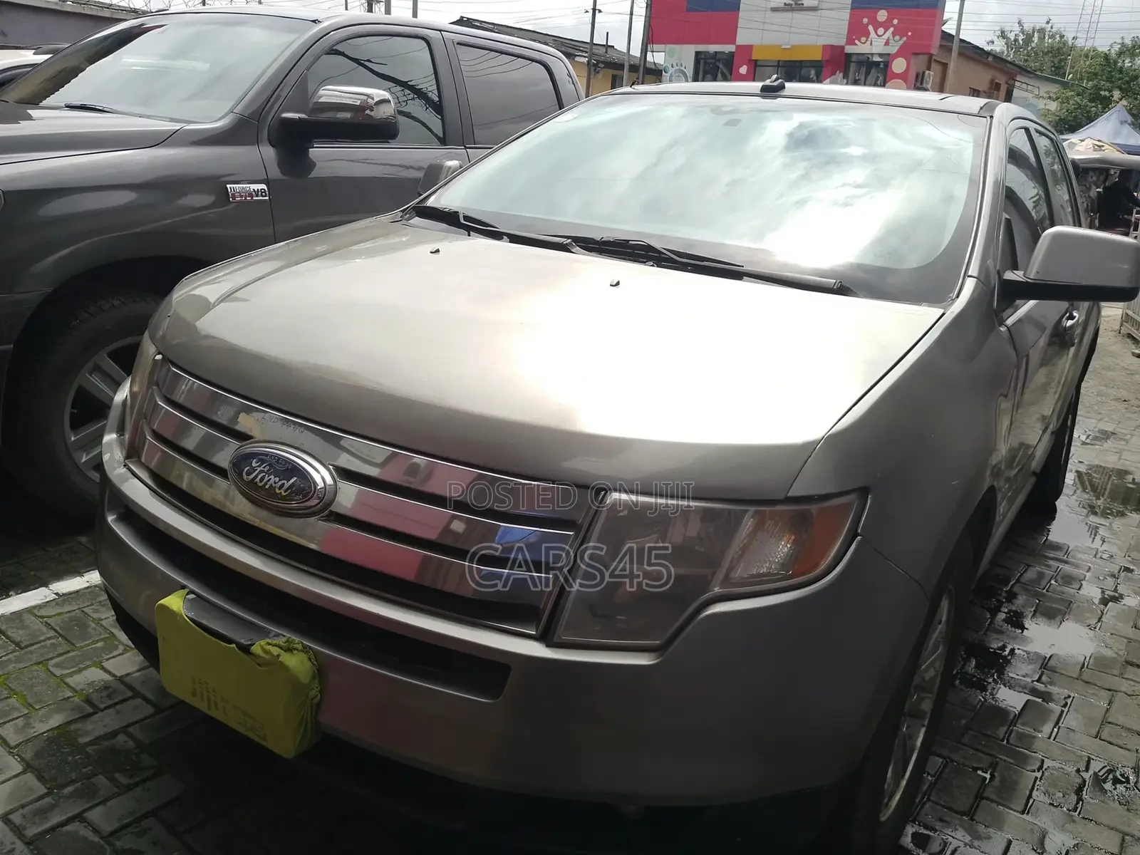 Ford Edge 2007 Gray