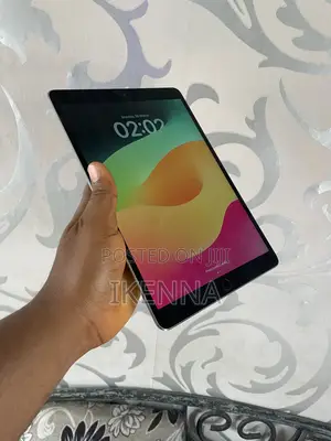 Apple iPad Pro 10.5 (2017) 256 GB Gray