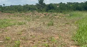 1155.43Sqm Residential Land for Sale in Gwarimpa Ll