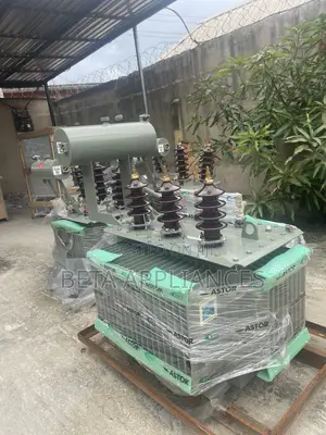 Astor 300 kVA Transformer for Voltage Distribution