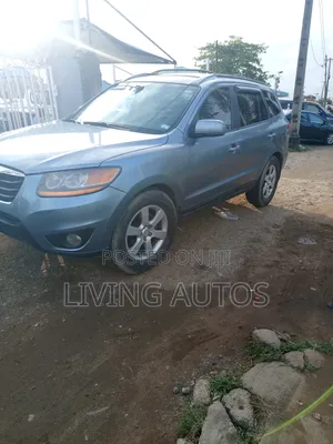 Hyundai Santa Fe 2009 Blue