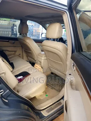 Hyundai Santa Fe 2009 Blue