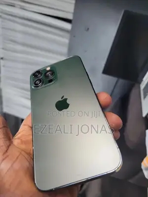 Apple iPhone 13 Pro Max 256 GB Green