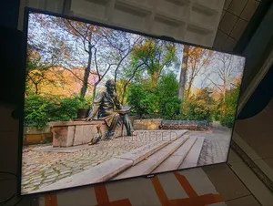 55inch Frameless Samsung TV