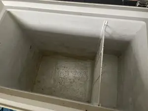 A 200 Liters Nexus Freezer