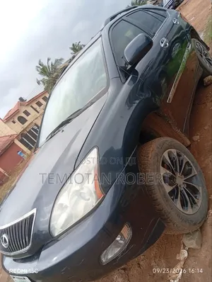 Lexus RX 350 2007 Gray