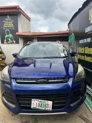Ford Escape SE 4dr SUV (1.6L 4cyl Turbo 6A) 2015 Blue