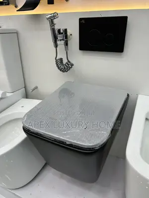Black Conceal Tank and Wall Hung Wc
