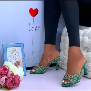 Beautiful Ladies Slippers