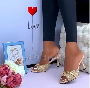 Beautiful Ladies Slippers