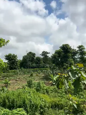 Distress Sale | 2 Prime Residential Plots in Durumi