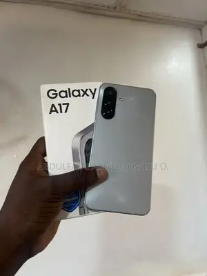 Samsung Galaxy A17 128 GB Gray