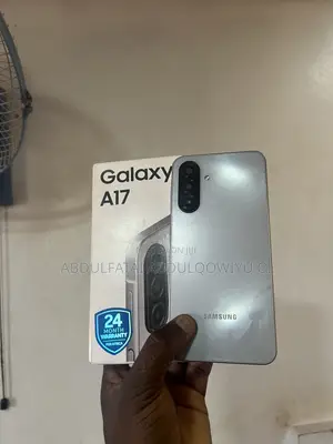 Samsung Galaxy A17 128 GB Gray