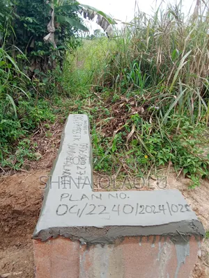 3 Plots of Land in Oloparun Village Near RCCG New Arena