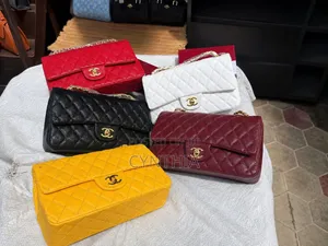 Beautiful Female Handbag