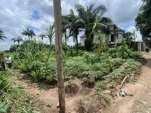 6 Plot of Land at Dozie Road