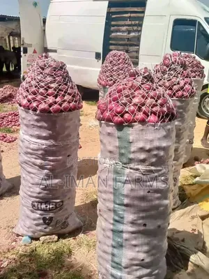 Fresh Onions