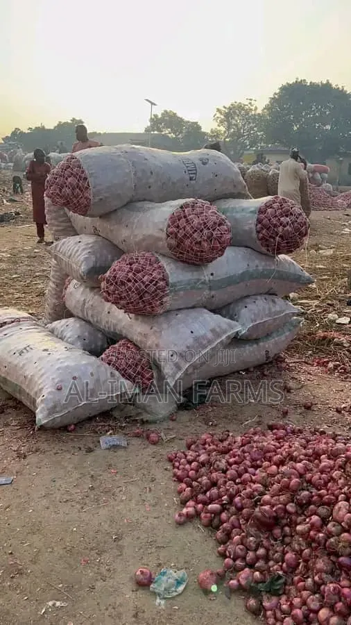 Fresh Onions