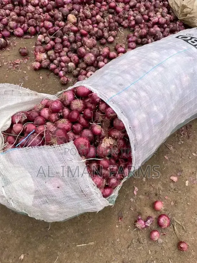 Fresh Onions