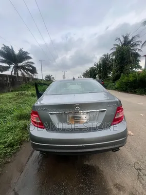 Mercedes-Benz C300 2009 Gray