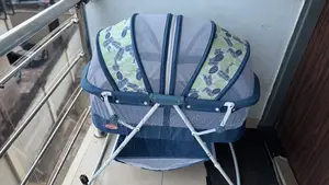 Fortune Bassinet