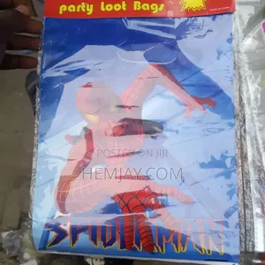 (12pcs) Fancy Party Bag Lyons for Birthday Package