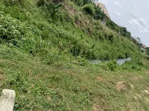 50 Plots of Land for Long Lease in the Basin of Crude Oil