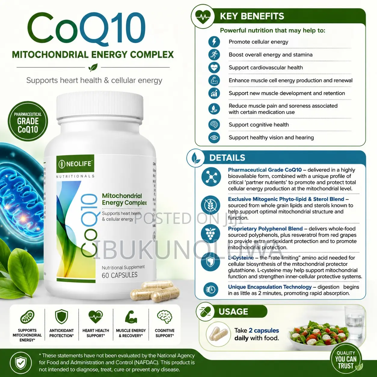 Coq10 - 60 Capsules