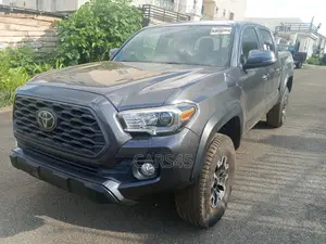 Toyota Tacoma 2021 Gray