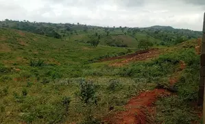 1000SQM Estate Residential Land With R of O