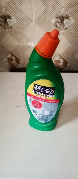 Tiles and Toilet Wash