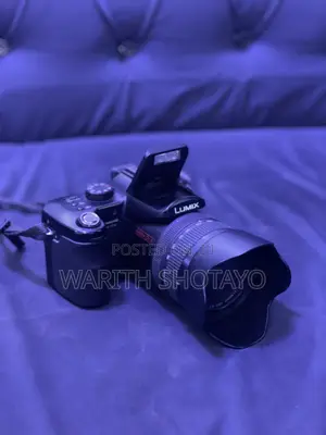 Panasonic Lumix Bridge-Style Camera