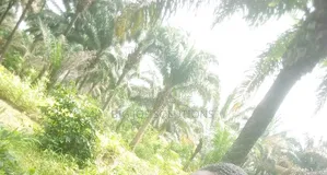 20 Plots of Land for Sale at Owaza Abia State