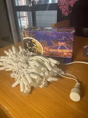 100 Rope Led Light