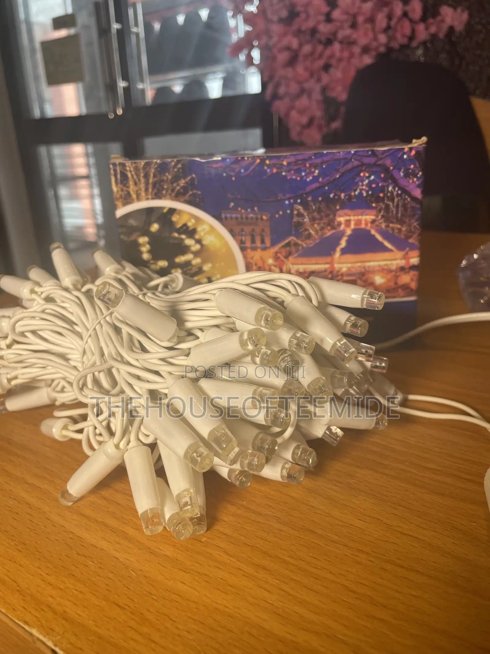 100 Rope Led Light