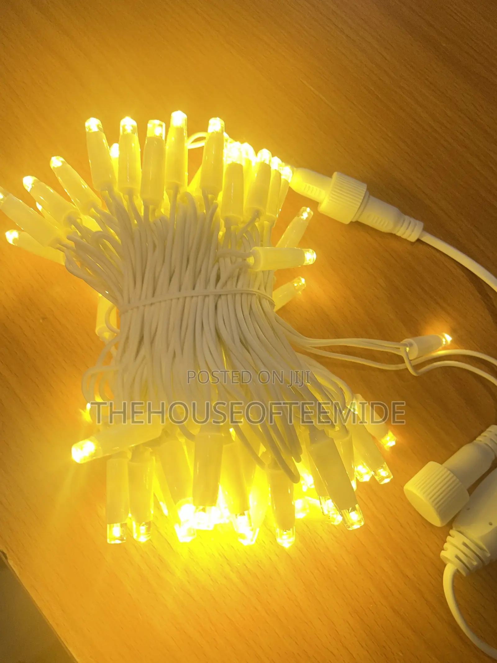 100 Rope Led Light