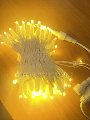 100 Rope Led Light